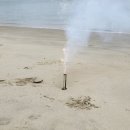 진도 카멜리아 힐즈 오토캠핑장 이미지