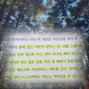 품위와 여유를 갖는 문인화 | 어른의 품위 (최서영) 책 후기·추천 리뷰·핵심 요약 <어른, 그 느린 꿈과 묵묵한 무모함에 대하여>