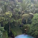 독산경로당 | 발리 우붓 아디와나 우나기 스위트｜수영장 마사지 조식, 솔직히 말해서...