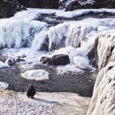 승일정비 이미지