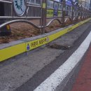 화순오성초 이미지