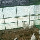 청목농장 이미지