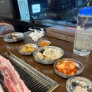 육식주의 축산 이미지