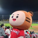 돈구이불붙었네 이미지