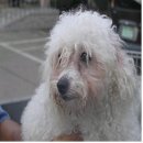 징의축산 이미지