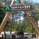 월악산국립공원 닷돈재자동차야영장 이미지