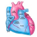 ＜협심증＞ 에 대하여 이미지