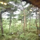 두메밥상 네이버블로그
