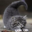 에이치프라자 이미지