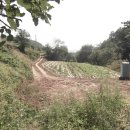 평사농장 이미지