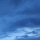 비금정고운정 이미지