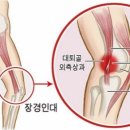몬스터 짐 이미지