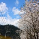 산음