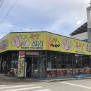 폭탄돼지 이미지