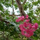 조희대, 한덕수, 정상명, 김충식 4인회동 의혹, 김충식은 뭐라고 반응했을까 이미지