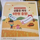 일조타이어 이미지