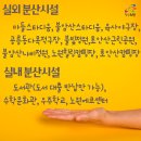 에코실외구장 야구장 이미지