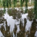 원일중학교(매탄동) 이미지