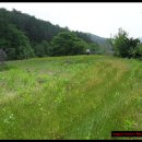 횡성목장 이미지