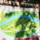 인제 용대 자연휴양림 데크 및 계곡정보. 연립동과 휴양관 숙소! (feat. 매바위 인공폭포)