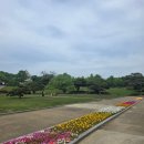 해상공원 분수대 밑 | 대구 도심 여행 아이와 가볼만한곳 "달성공원" 동물원 산책 대구시민 추억의 공간 솔직후기