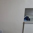 대한기술단주 네이버블로그