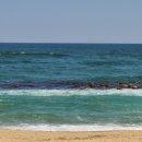 팔도맛집 이미지