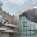 토마스 사라세노 중앙일보