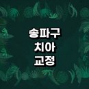 서울 송파구 치아교정 잘하는 전문치과 병원 추천 | 비용 후기 설측교정 돌출입 앞니 투명 무턱 부분...
