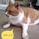 야흥마트 | <책방, 국자와 주걱>으로 가는 길3