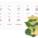 (주)영유통 이미지