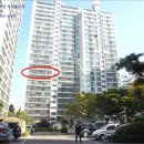 일산동 일산근린공원-2 이미지