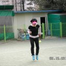 태을 자동차 Daum카페