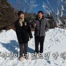 진 마이데일리