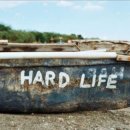 편백세상 이미지