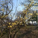 중랑천육교 이미지