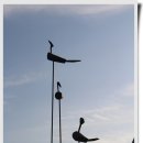 별꽃민박 이미지