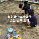 모담산 유아숲체험원 | 달천 유아숲체험원 후기｜모래놀이·놀이터·계곡까지 완벽한 아이 나들이 코스