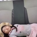 자매농장 이미지