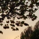 산한의원 이미지