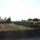 블루오션2민박 이미지