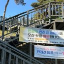 봉화재 반려견놀이터화장실 | 서울 은평구 진관동 반려견 놀이터 솔직후기 (주차, 개장시간,화장실 등 정보)