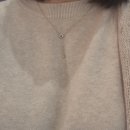 히읗 | 골든듀 펄시피아 미뇽 구매하러 갔다가 히읗 목걸이 구매한 후기