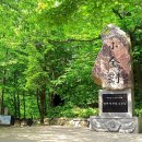 태릉입구역 1번출구 버스정류장 이미지