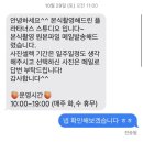 스냅플라타너스 - 김해시 금관대로1364번길 9 | [대구 본식스냅] 노비아갈라 전자관 플라타너스 본식스냅 후기 (박람회 혜택, 주의할점)