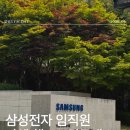 용인 삼성전자 임직원 워크샵 37명의 전국 핸드크림만들기 출강 준비과정