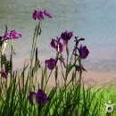 은파호수공원 9-6 이미지