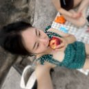 약대공원 | [시드니] Day3 호주 서브웨이 패디스 마켓 빅토리아공원 시드니대학교 클로벨리 비치에서 바다수영하기