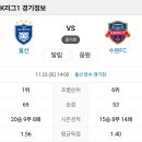 2024년 11월23일(토) 울산HD VS 수원FC 울산 문수 경기장 경기일정 이미지