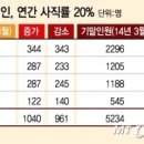 4대 회계법인 회계사의 초봉은 3000만원 후반대에서 4000만원 초반대로 알려졌다. 이미지